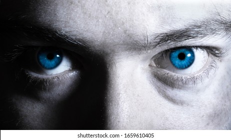 Royal Blue Eyes Close Portrait Stock Photo 1659610405 | Shutterstock