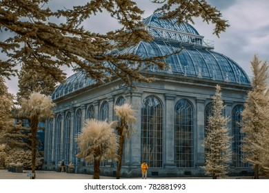 Royal Botanic Garden Edinburgh, Infrared