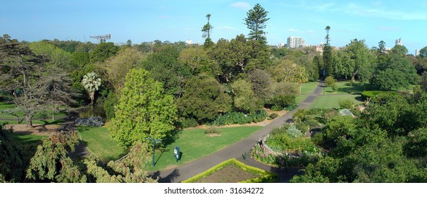 Royal Botanic Gardens Panorama Photo, Sydney, Australia