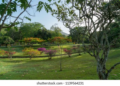 Royal Botanic Gardens In Port Of Spain, Trinidad