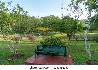 Royal Botanic Gardens In Port Of Spain, Trinidad