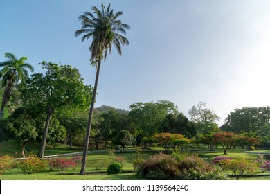 Royal Botanic Gardens In Port Of Spain, Trinidad