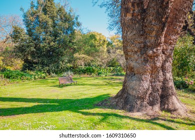 Royal Botanic Gardens Victoria, Australia