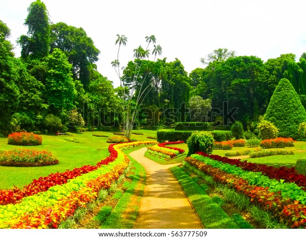 Royal Botanical Garden Peradeniya Sri Lanka Stock Photo Edit Now