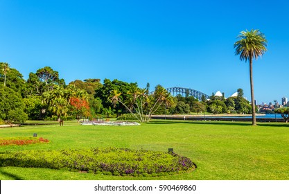 The Royal Botanical Garden Of Sydney - Australia, New South Wales