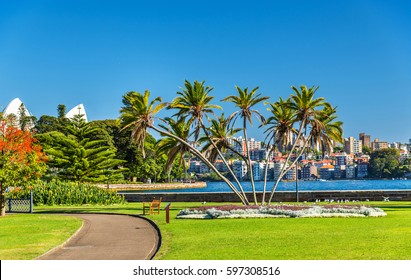 The Royal Botanical Garden of Sydney - Australia, New South Wales - Shutterstock ID 597308516