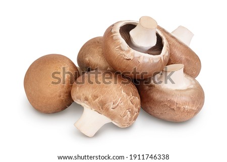 Royal Brown champignon isolated on white background with clipping path and full depth of field