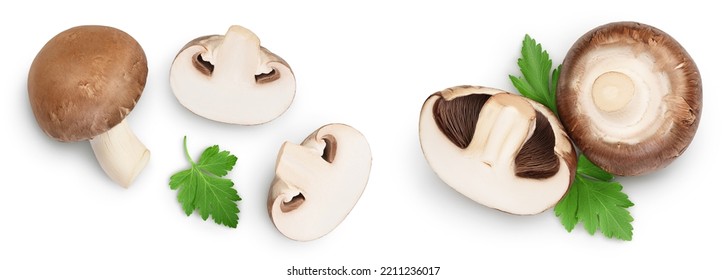 Royal Brown Champignon With Leaf Parsley Isolated On White Background. Top View. Flat Lay