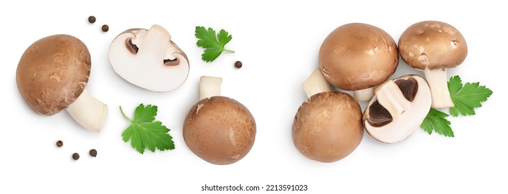 Royal Brown Champignon With Leaf Parsley Isolated On White Background. Top View. Flat Lay