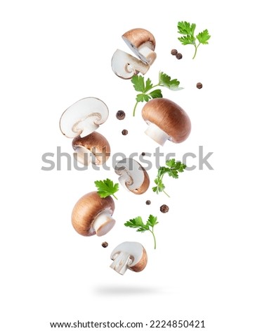 Royal Brown champignons with allspice and parsley isolated on a white background