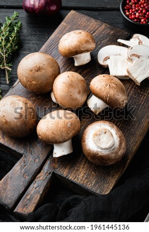 Similar – Foto Bild Eine Gruppe von Pilzen im Wald