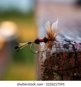 Royal Coachman fishing fly on a picnic table in sharp focus. The Royal Coachman is one of the most famous flies ever and is commonly used for trout as a dry fly ,wet fly or streamer.  Download now!