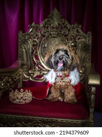 Royal Dog In Crown And Cape On A Throne. Regal And Royal Pets