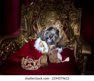 Royal Dog In Crown And Cape On A Throne. Regal And Royal Pets