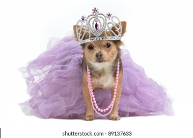 princess dogs