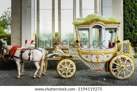 Royal Indian Horse drawn wedding carriage