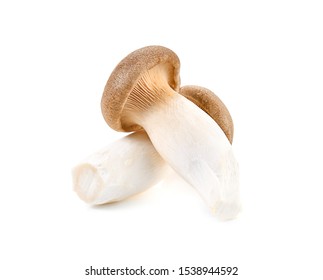 Royal Oyster Mushroom On White Background Stock Photo 1529321684 ...