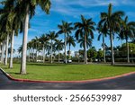 Royal Palm trees outside Flagler House in West Palm Beach, Florida