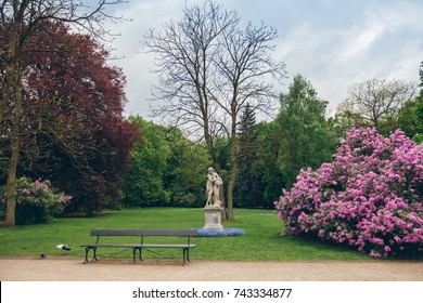 Royal Park Of Lazienki In Warsaw. Spring Day