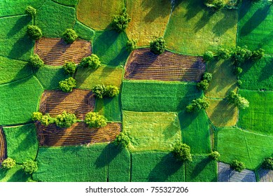 Royalty high quality free stock image aerial view of rice fields in Mekong Delta, Tri Ton town, An Giang province, Vietnam. Ta Pa rice field.