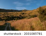 Roys Peak Track in the morning during Sunrise