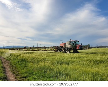 Roznov, Romania - MAY 25, 2021: Self-propelled Sprayer Working In The Field During Spring. Applying Pesticides On A Barley Field.