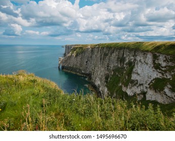 RSPB Bempton Cliffs Nature Reserve Yorkshire UK