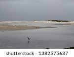 Ruakaka beach, NZ. Winter isolation.
