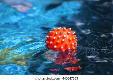 Rubber Ball Floating In Swimming Pool, Dog Toy Floating On Water