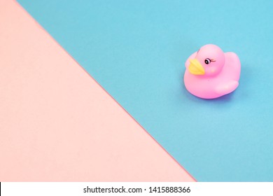 Rubber Bath Duck On Colorful Background. Top View On Toy Rubber Duck. Toy Play For Kid Ducky Floating. Pink, Blue Background.