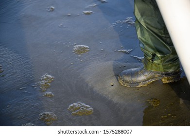 Rubber Booted Foot Testing Clam Dimple In Sand For Razor Clam, Ocean Shores, Washington State, USA
