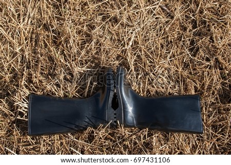 Rubber boots for agriculture. Black rubber boots lie in a mowed cornfield.