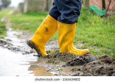 Rubber Boots In The Mud.