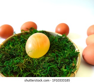 Rubber Bouncy Fragile Egg Resting On Moss Nest Surrounded By Chicken Eggs 