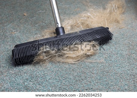 A Rubber Bristle Brush Used On A Carpet To Clean Up Pet Fur.