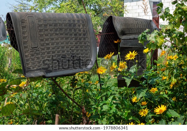 Rubber car mats, after washing, dry\
on a fence near a flower bed in a countryside\
garden.
