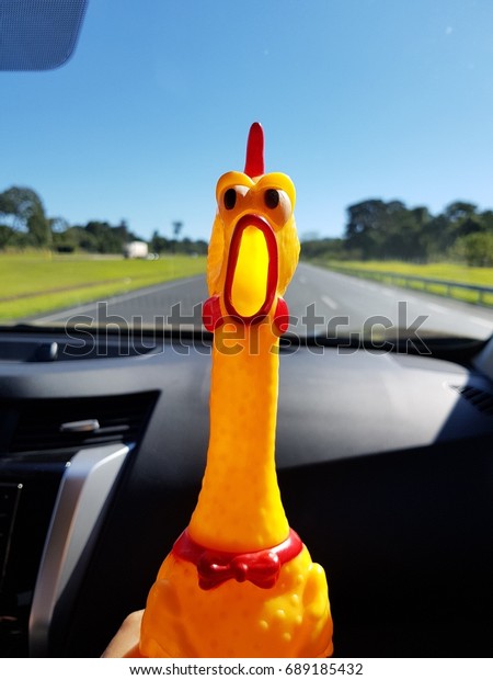 Rubber chicken in\
car