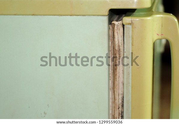 Rubber Door Edge Old Green Refrigerator Stock Photo Edit Now