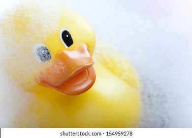 Rubber Duck In The Bath Tub