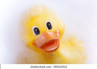 Rubber Duck In The Bath Tub