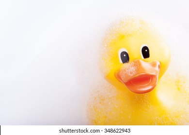 Rubber Duck In The Bath Tub