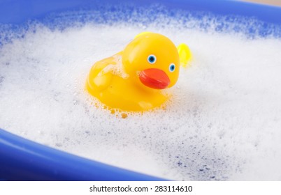 Rubber Duck Covered In Soap