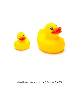 Rubber Duck Family Isolated On White Background