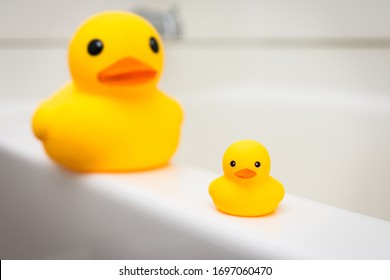 Rubber Duck Family, Mother And Baby Duck On The Edge Of Bath Tub