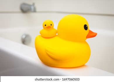 Rubber Duck Family, Mother And Baby Duck On The Edge Of Bath Tub