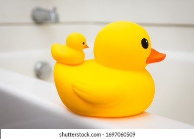 Rubber Duck Family, Mother And Baby Duck On The Edge Of Bath Tub