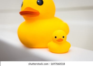 Rubber Duck Family, Mother And Baby Duck On The Edge Of Bath Tub