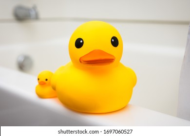 Rubber Duck Family, Mother And Baby Duck On The Edge Of Bath Tub