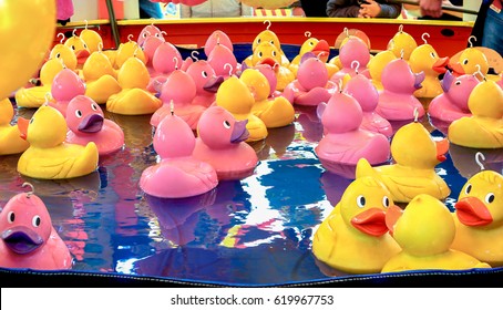 Rubber duck fishing game.