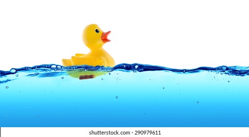 Rubber Duck Float In Water
